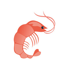 Illustration Little Shrimp