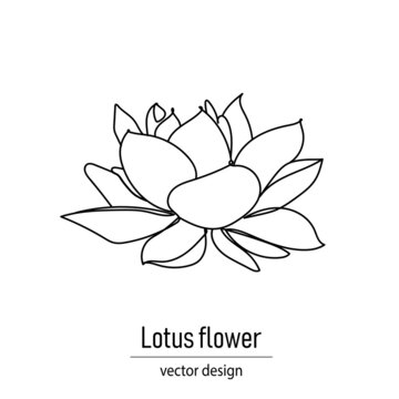 Lotus flower drawing in minimalistic contour continuous line style.Vector illustration, lotus icon. Vector illustration