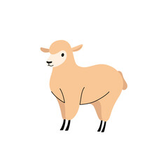 Illustration of sheep. Simple contour vector illustration for emblem, badge, insignia.