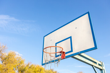 Basketball hoop on the background of yellow autumn trees