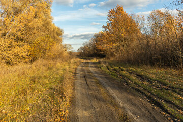 Naklejka premium Dirt road in the autumn field