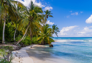 Deserted paradise Caribbean beach on Saona Island in the Dominican Republic - obrazy, fototapety, plakaty