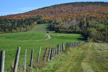 Fototapeta na wymiar An autumn landscape, Buckland, Québec, Canada