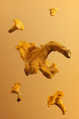 Obraz premium Orange background with falling balls. Big yellow jackets. Autumn mushrooms. Edible mushrooms.