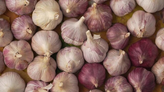 Background of garlic bulb heads rotating, top view