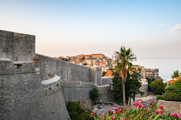 Naklejka premium Panoramic view of sunrise over old town of Dubrovnik. Ancient city wall and Minceta tower. Famous tourist destination in Croatia. Summer morning, soft warm light. UNESCO heritage.