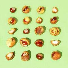 Creative composition made of chestnuts close up on sunlit green background. Nature consept. Falll and autumn theme