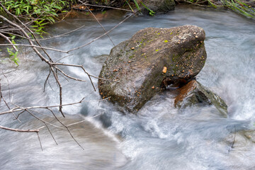 water flowing in the forest