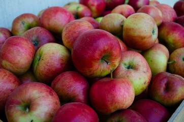 Fototapeta na wymiar Closeup shot of fresh red and yellow apples