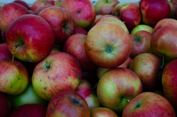 Closeup shot of fresh red and yellow apples