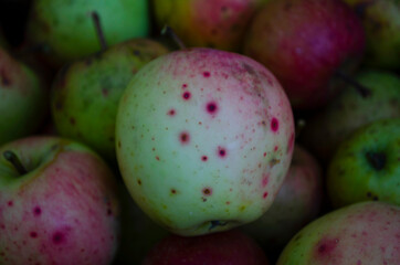 Closeup shot of fresh red and yellow apples