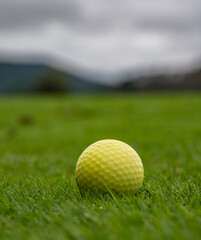 golf ball on the green grass