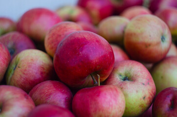 Closeup shot of fresh red and yellow apples