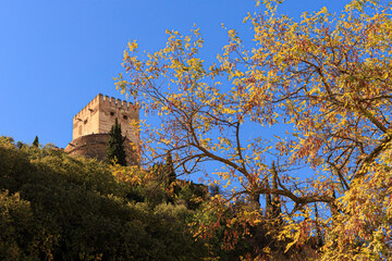 Alhambra de Granada en otoño