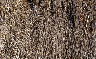 background of old caked straw
