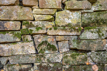 background from old masonry wall overgrown with moss and lichen.