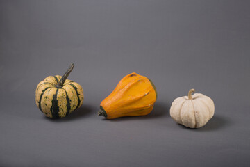 three small pumpkins isolated on gray background