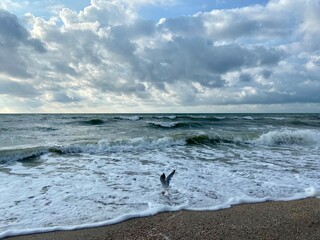 sea and sky