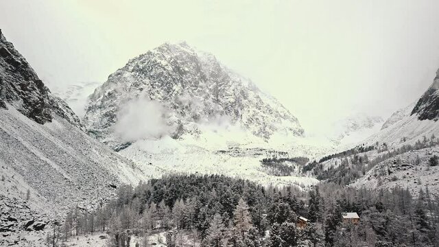 The huge Belukha Mountain, the valley of the Aktru River, the Altai Mountains, the foot of glaciers. Winter forest, frozen mountain river in the valley of the Chuya and Aktru Rivers Altai Republic