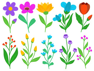 Flower Illustration for wedding card design