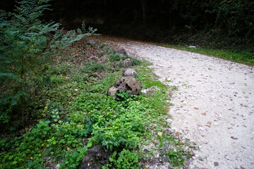 Fototapeta premium Strada per l'eremo dei frati bianchi