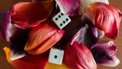 dice to play among the leaves of flowers