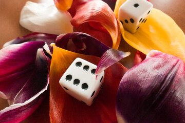 dice to play among the leaves of flowers