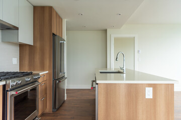 Modern, bright, clean empty kitchen interior with stainless steel appliances in a luxury house.