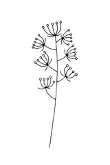 Silhouette of grass. Branch with berries. Botanical element for decoration. Circuit. Doodle. Vector. Drawn by hand. Sketch. Silhouette. Black and white. Contour.