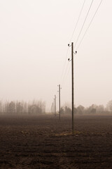 electric poles foggy day