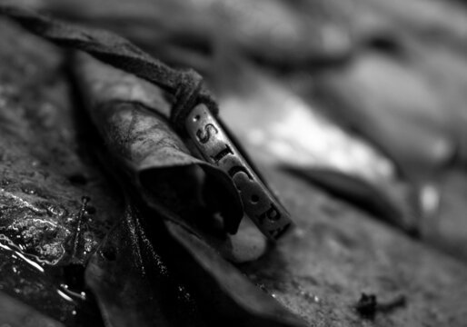 Anillo sic parvis magna uncharted