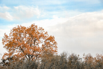 Beautiful landscapes by the reservoir