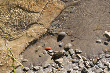 beach shore sand pebbles