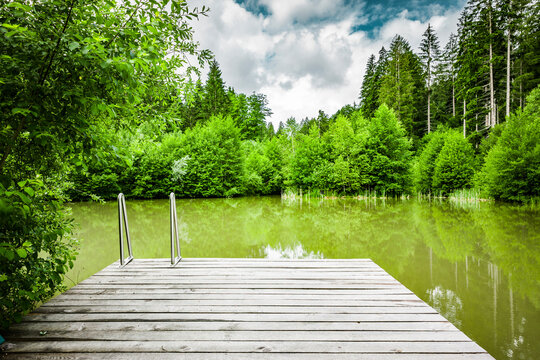 Badesteg an einem Waldsee