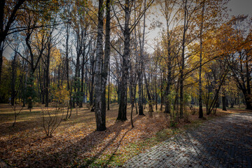 golden autumn in the park of Moscow