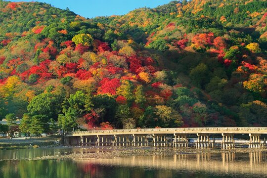 渡月橋 の画像 3 357 件の Stock 写真 ベクターおよびビデオ Adobe Stock