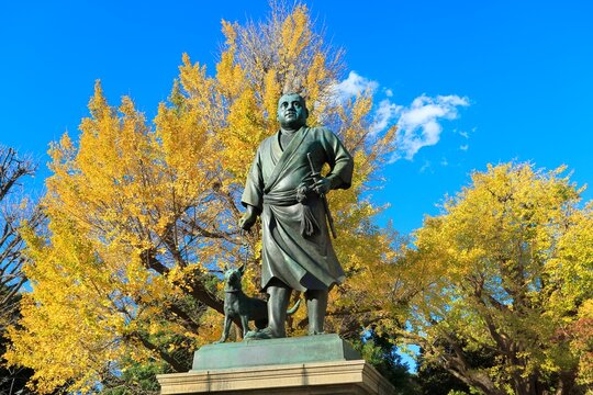 上野公園 Images Browse 3 978 Stock Photos Vectors And Video Adobe Stock 上野公園 Images Browse 3 978 Stock Photos Vectors And Video Adobe Stock