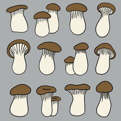 doodle freehand sketch drawing of king trumpet mushroom.