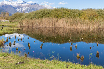 Archeological site from 4000 years at Torbiera Fiave in Italy.