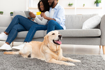 Black couple using laptop and card at home with pet