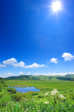八島ヶ池とシシウドなどの花と霧ヶ峰と太陽, 八島ヶ原湿原,下諏訪町,長野県