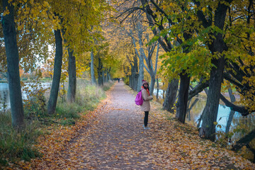Fototapeta premium Girl in a beautiful autumn park