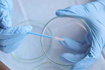 Doctor gynecologist holding cytobrush over petri dish in clinic closeup