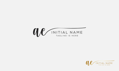 AE EA Signature initial logo template vector