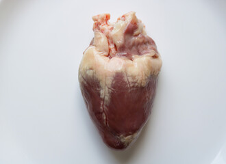 Close-up shot of heart on a white isolated background.