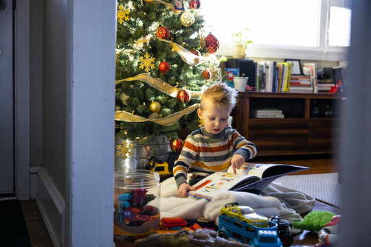 Cute toddler boy reading book at Christmas tree in living room