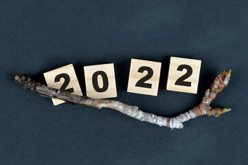 year change from 2021 to 2022. Happy new year