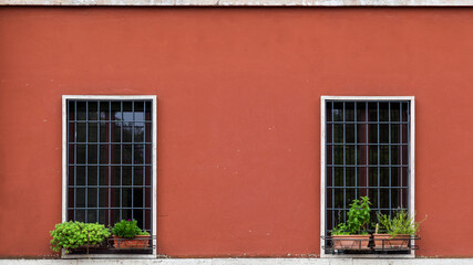 Fragment of red painted wall with two lovely windows. Beautiful plants in pots under the windows.