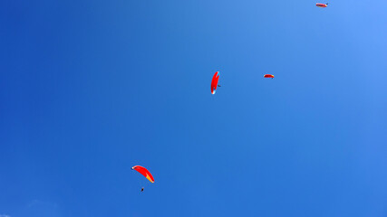    paragliders in the blue sky                 