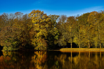 Park landscape in autumn.